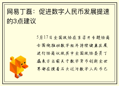 网易丁磊：促进数字人民币发展提速的3点建议